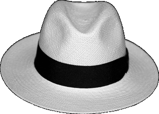 Een van mijn Fedora hoeden.